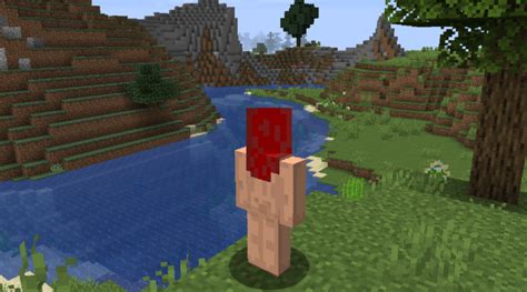 minecraft naked skins|Nudity Minecraft Skins 